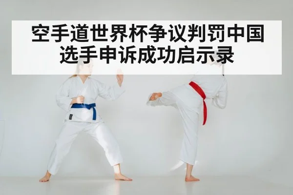 空手道世界杯争议判罚中国选手申诉成功启示录