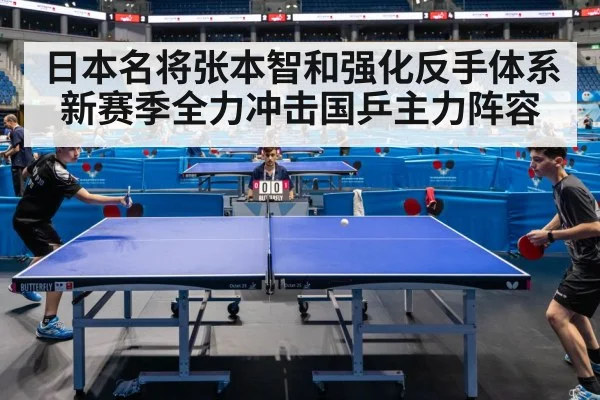 日本名将张本智和强化反手体系 新赛季全力冲击国乒主力阵容